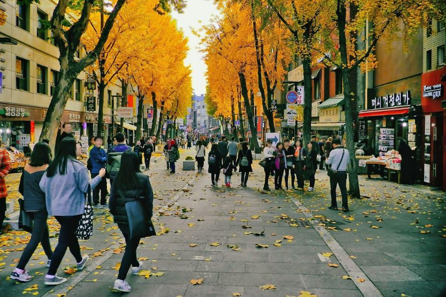 Chương trình đi bộ đường dài dành cho mọi người tại Seoul
